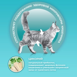 Корм сухой для взрослых кошек PURINA ONE Adult с курицей и цельными злаками, 750г