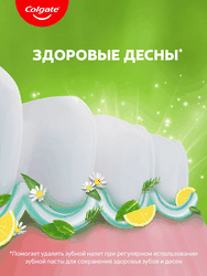 Зубная паста COLGATE Лечебные травы отбеливающая с натуральными ингредиентами для здоровья зубов и десен и белоснежной улыбки, 100мл
