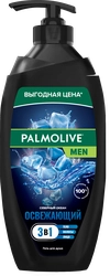 Гель для душа мужской PALMOLIVE Men Северный океан с морскими минералами 3в1, 750мл