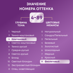Крем-краска для волос ПАЛЕТТ Интенсивный цвет 4–89 (RFE3) Баклажан, 110мл