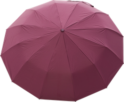 Зонт женский RAINDROPS супер-автомат, Арт. RDH-938123