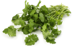 Изображение товара Кинза свежая, 30г