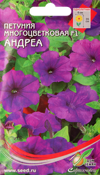 Семена ДОМ СЕМЯН Петуния гибридная, в ассортименте, 0,01г