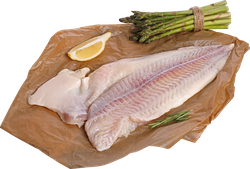 Пангасиус ЛЕНТА FRESH филе (из замороженного сырья), весовой