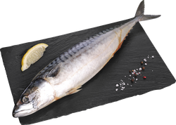 Изображение товара Скумбрия Тихоокеанская ЛЕНТА FRESH непотрошеная с головой 300г+ (из 
замороженного сырья), весовая