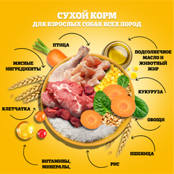 Корм сухой для взрослых собак PEDIGREE с говядиной, для всех пород, полнорационный, 13кг