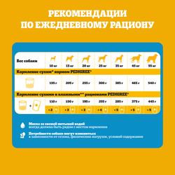 Корм сухой для взрослых собак PEDIGREE с говядиной, для всех пород, полнорационный, 13кг