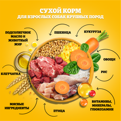 Корм сухой для взрослых собак PEDIGREE с говядиной, для крупных пород, 13кг