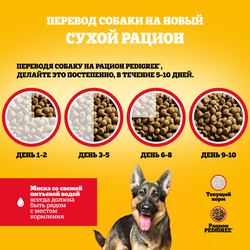 Корм сухой для взрослых собак PEDIGREE с говядиной, для крупных пород, 13кг