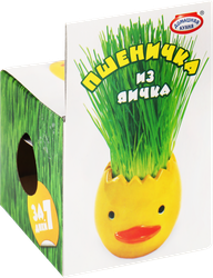 Набор пасхальный ДОМАШНЯЯ КУХНЯ Пшеничка из яичка, 105г