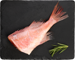 Окунь морской ЛЕНТА FRESH потрошеный без головы (из замороженного сырья), весовой