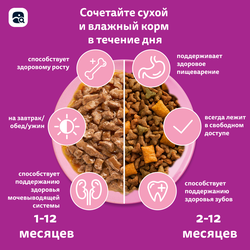 Корм сухой для котят WHISKAS Вкусные подушечки, Аппетитное ассорти с индейкой и морковью, 350г