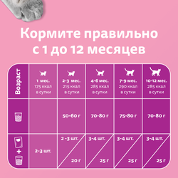 Корм сухой для котят WHISKAS Вкусные подушечки, Аппетитное ассорти с индейкой и морковью, 350г