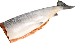Кета ЛЕНТА FRESH потрошеная без головы (из замороженного сырья), весовая