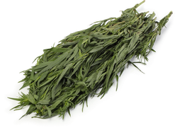 Изображение товара Тархун свежий, 30г