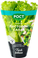 Изображение товара Салат листовой, в горшочке