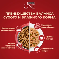 Корм сухой для взрослых собак PURINA ONE Mini Здоровый вес Индейка и рис, 1,5кг