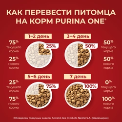 Корм сухой для взрослых собак PURINA ONE Mini Здоровый вес Индейка и рис, 1,5кг