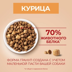 Корм сухой для взрослых собак PURINA ONE Mini Активная Курица и рис, 1,5кг