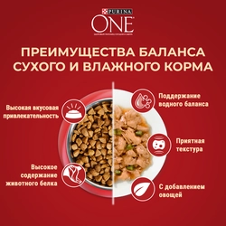 Корм сухой для взрослых собак PURINA ONE Mini Активная Курица и рис, 1,5кг