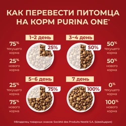 Корм сухой для взрослых собак PURINA ONE Mini Активная Курица и рис, 1,5кг