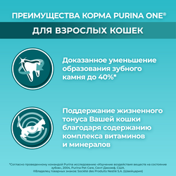 Корм сухой для взрослых кошек PURINA ONE Adult с говядиной с цельными злаками, 750г