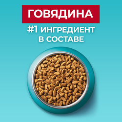 Корм сухой для взрослых кошек PURINA ONE Adult с говядиной с цельными злаками, 750г