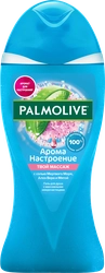 Гель для душа PALMOLIVE Арома настроение Твой массаж с массажными микрочастицами, с солью мертвого моря, алоэ вера и мятой, 250мл