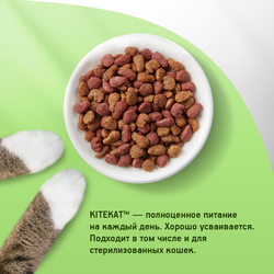 Корм сухой для кошек KITEKAT с аппетитной телятинкой, 800г