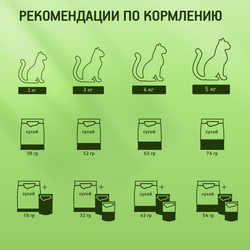 Корм сухой для кошек KITEKAT с аппетитной телятинкой, 1,9кг