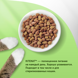 Корм сухой для кошек KITEKAT Улов рыбака, 1,9кг