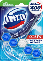 Изображение товара Блок для унитаза ДОМЕСТОС Power 5 Свежесть океана, 55г
