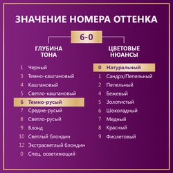 Крем-краска для волос ПАЛЕТТ Интенсивный цвет 6–0 (N5) Темно-русый, 110мл