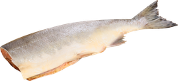 Горбуша ЛЕНТА FRESH потрошеная без головы (из замороженного сырья), весовая