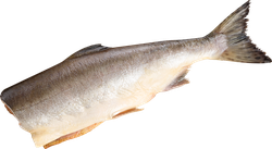 Горбуша ЛЕНТА FRESH потрошеная без головы (из замороженного сырья), весовая