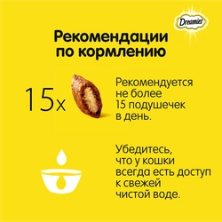 Лакомство для кошек DREAMIES Подушечки с курицей, 140г