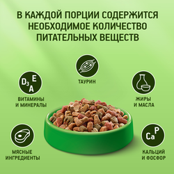Корм сухой для взрослых кошек KITEKAT Курочка аппетитная, 350г