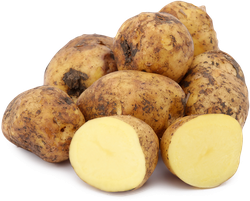 Изображение товара Картофель белый отборный, весовой