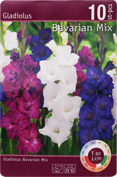 Изображение товара Луковицы Гладиолус Бавариан микс (Уайт Просперити/Шугар Плам/Перпл 
Флора) 10/12, Арт. 101/RKG.201.GLD.005.STD, 10шт