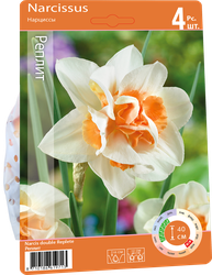 Изображение товара Луковицы Нарцисс махровый Реплит 12/14, Арт. 153, 4шт