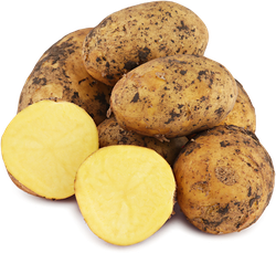 Картофель белый молодой, весовой
