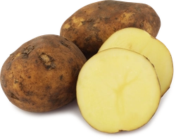 Картофель молодой белый вес до 500г