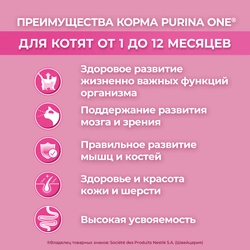 Корм сухой для котят PURINA ONE Kitten с курицей и цельными злаками, 750г