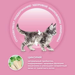 Корм сухой для котят PURINA ONE Kitten с курицей и цельными злаками, 750г