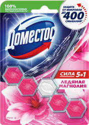 Блок для унитаза DOMESTOS Power 5 Ледяная магнолия, 55г