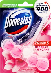 Блок для унитаза DOMESTOS Power 5 Ледяная магнолия, 55г