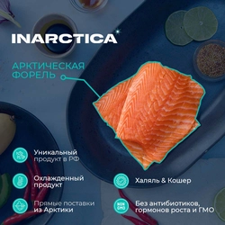 Форель морская INARCTICA потрошеная с головой 3–8кг, весовая