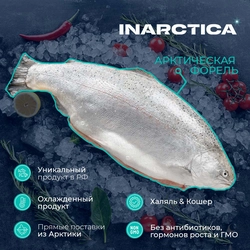 Форель морская INARCTICA потрошеная с головой 3–8кг, весовая