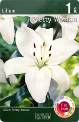 Изображение товара Луковица Лилия Притти Вуман 16/18, Арт. 79