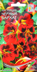 Товарыдлядачиисада